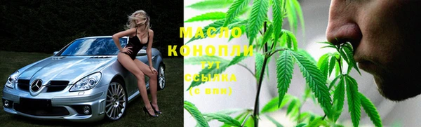 мдпв Краснослободск
