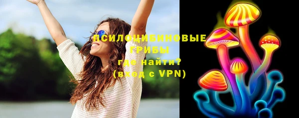 мдпв Краснослободск