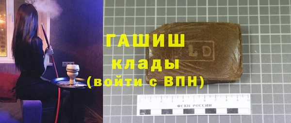 мдпв Краснослободск
