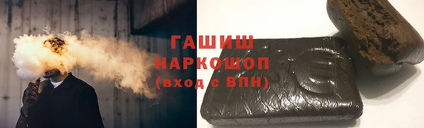 мдпв Краснослободск