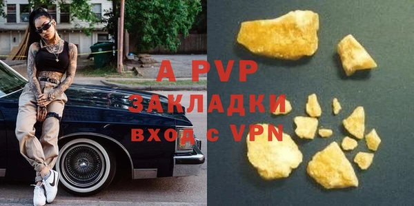мдпв Краснослободск